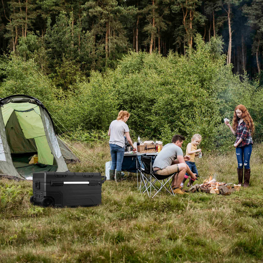 2025 Nevera eléctrica portátil de camping Newair®, 80 cuartos, 12 V/24 V CC