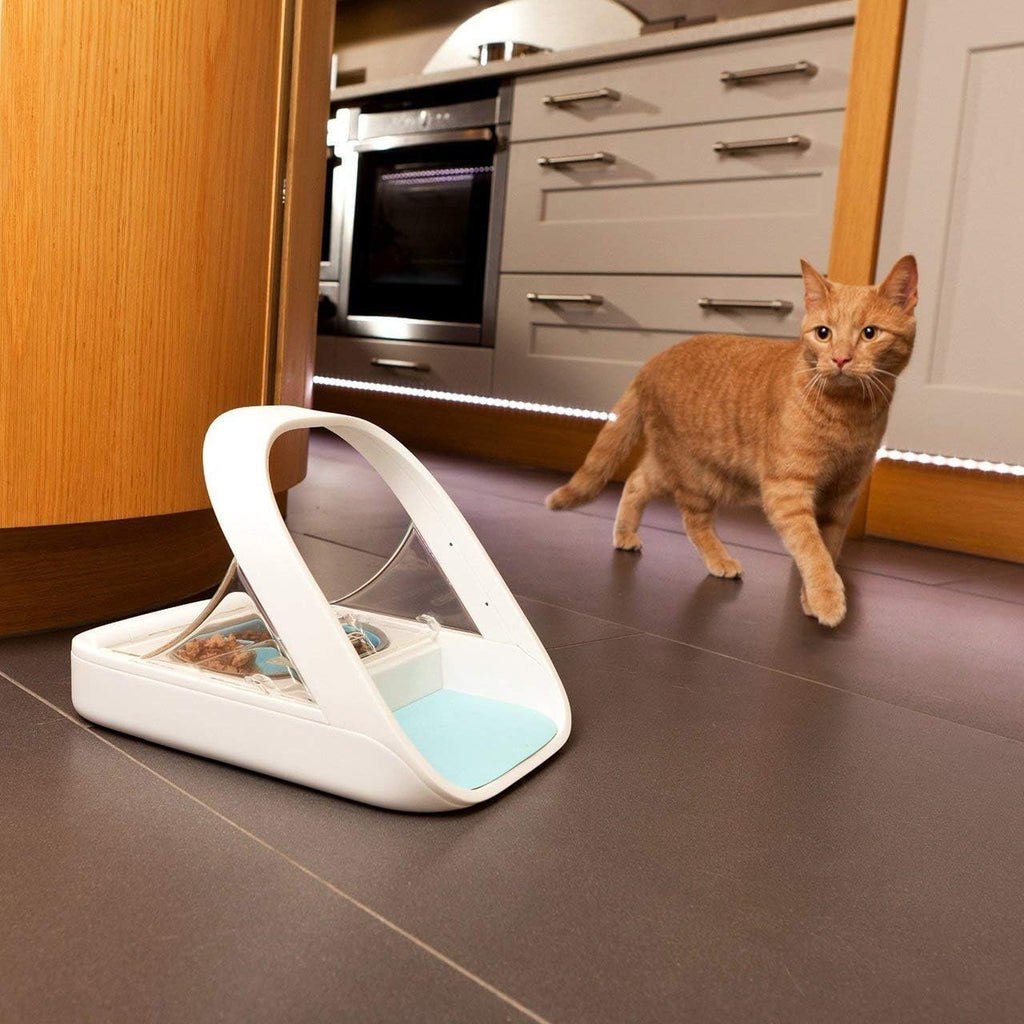 Alimentador Automático para Mascotas - Alimentador con Microchip para Mascotas – MPF001 – Adecuado para Comida Húmeda y Seca – Toalla para Mascotas eOutletDeals de regalo