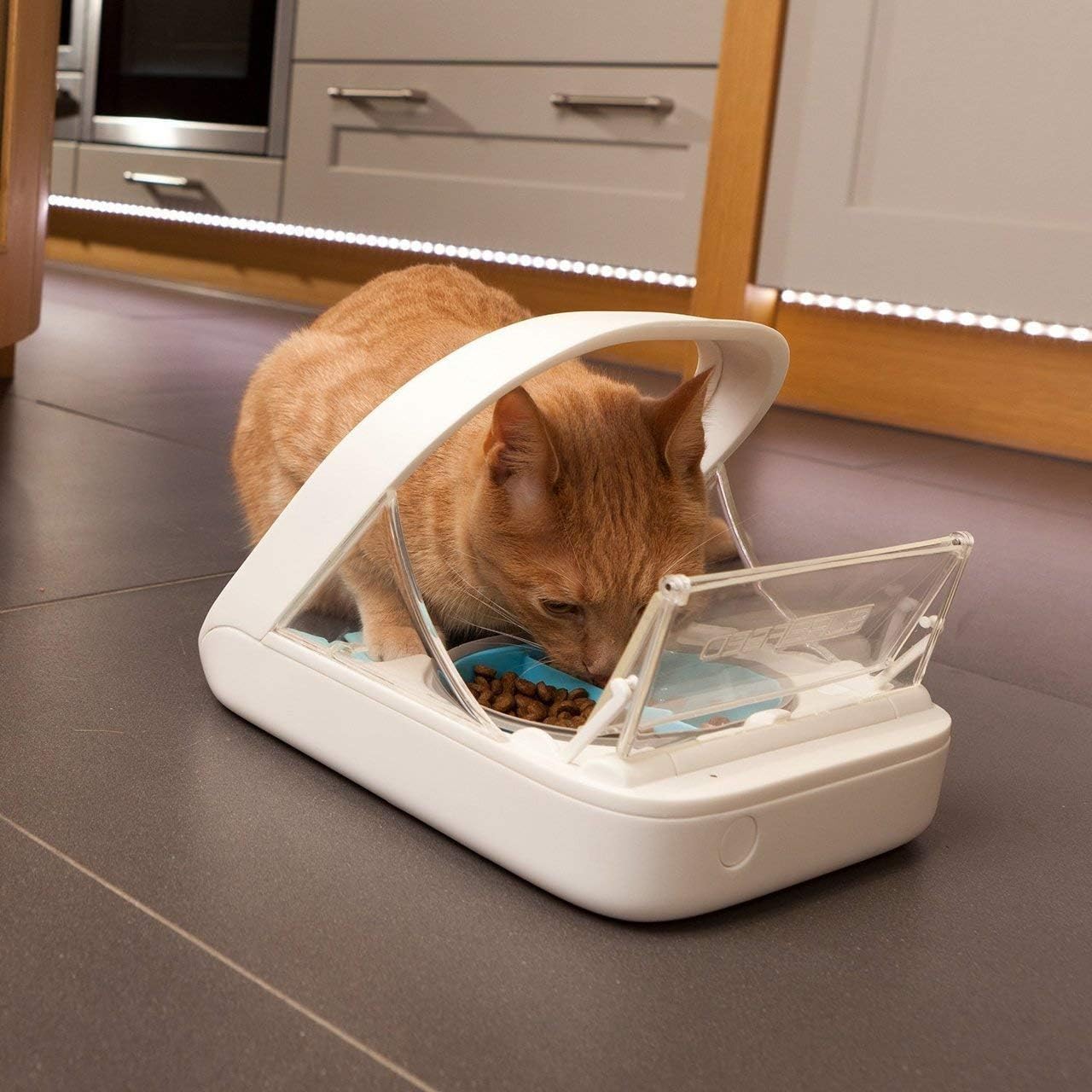 Alimentador Automático para Mascotas - Alimentador con Microchip para Mascotas – MPF001 – Adecuado para Comida Húmeda y Seca – Toalla para Mascotas eOutletDeals de regalo