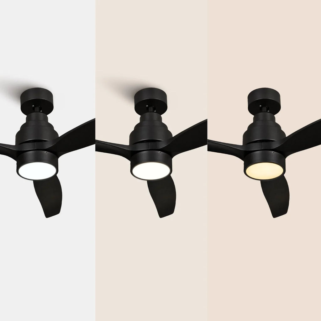 Brizy Bright Black
