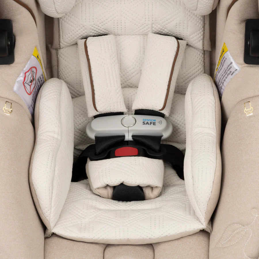 2025 Evenflo Shyft DualRide Combo Arnés-Capazo para Bebé Edición Limitada con Tela Green & Gentle