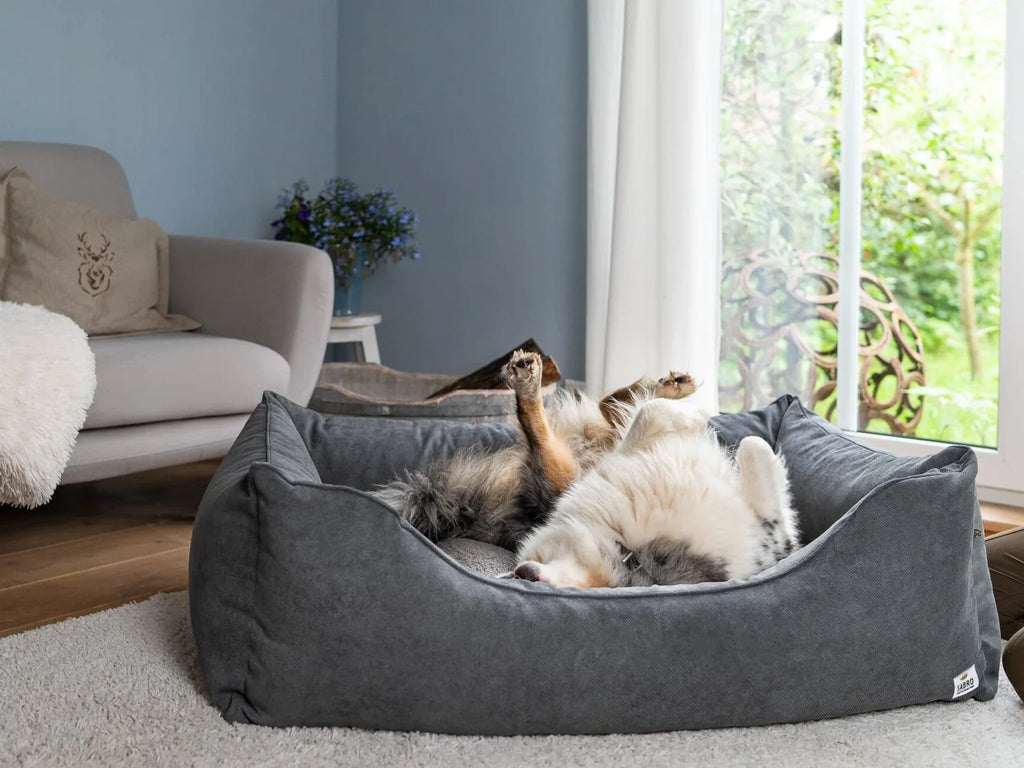 2025 Cama para perro LALELU