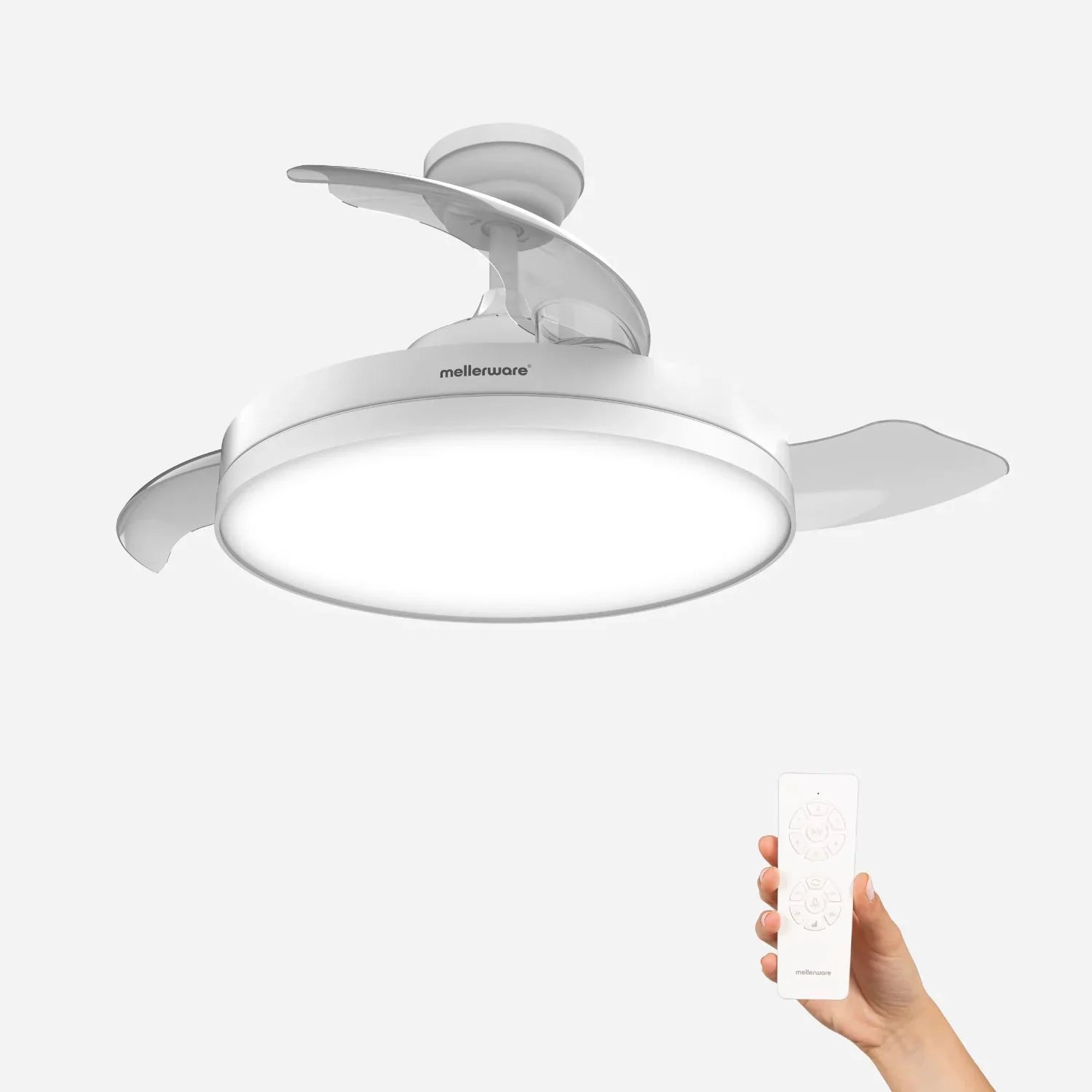 Brizy Bright Foldable