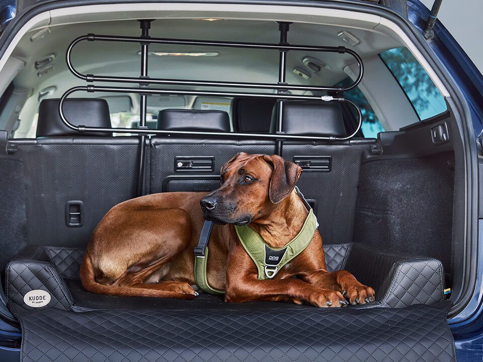 2025 Cama de coche para perro Vagn