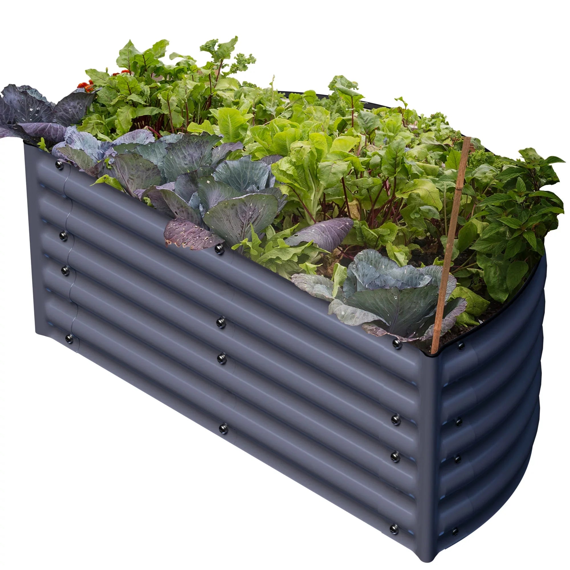 Macetero semicircular Olle Gardens en gris noche – solución de plantación alta de 43 cm para raíces sanas y un jardín elegante