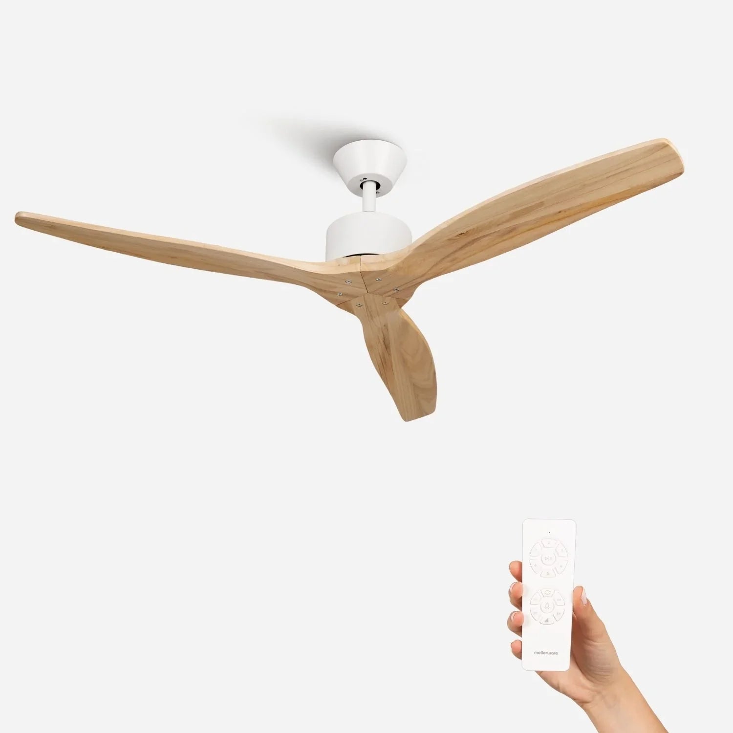 Brizy Light Wood