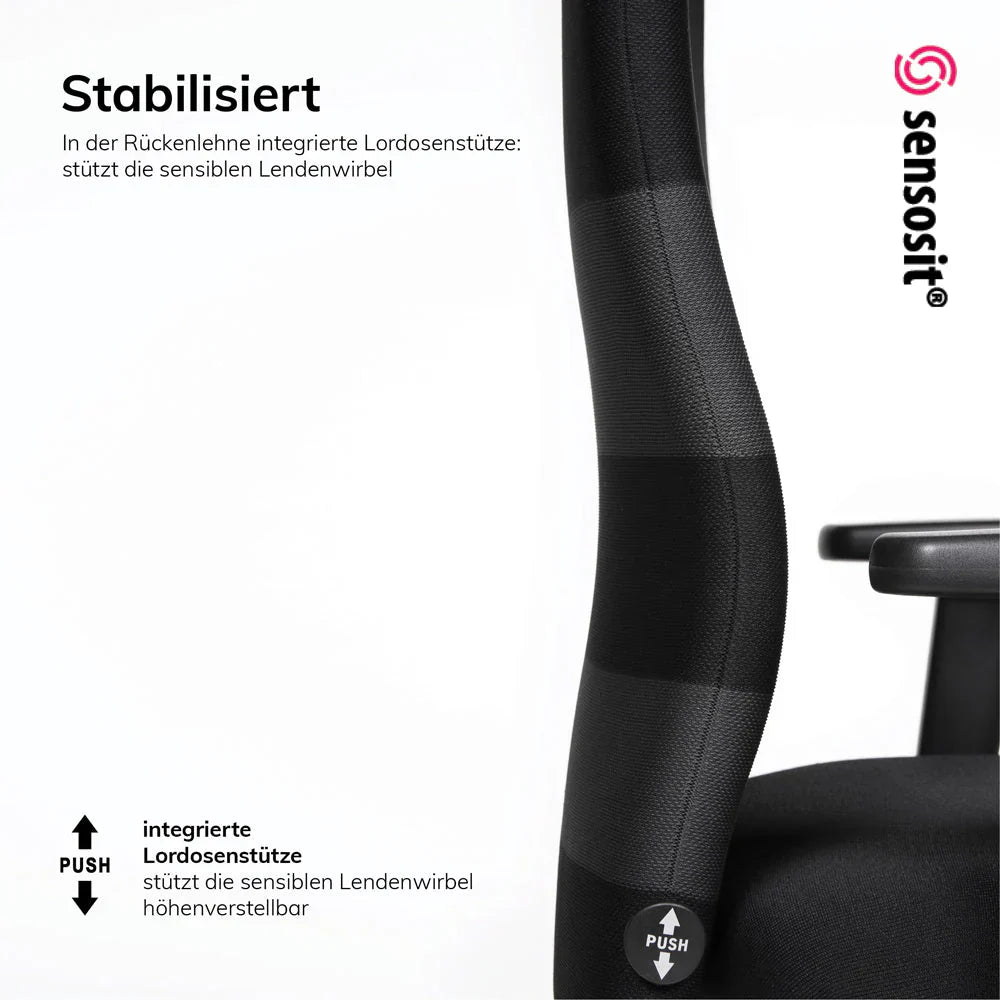 2025 Silla de Oficina Ergonómica Lento Agilis AG10 “EL SALVADOR DE LA ESPALDA” – Equipamiento Completo – Reposabrazos 4D