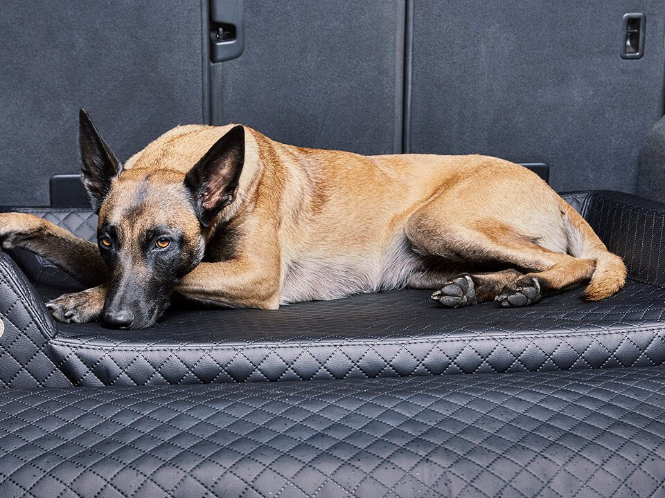 2025 Cama de coche para perro Vagn